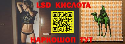 ECSTASY Краснокаменск