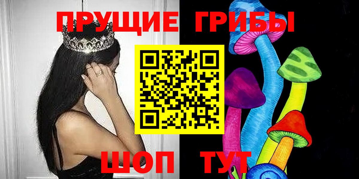 Галлюциногенные грибы Psilocybine cubensis Камышлов