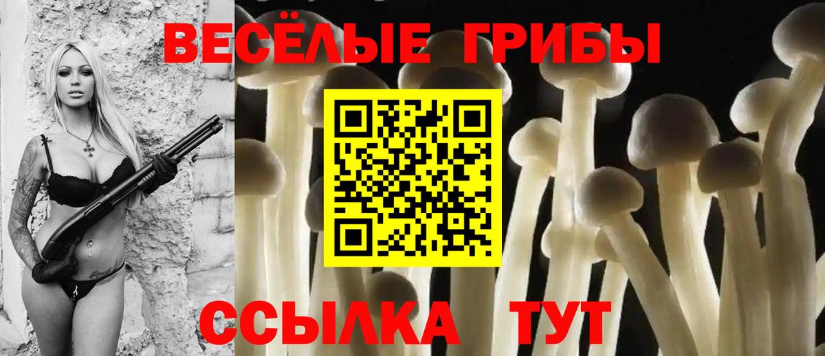 Псилоцибиновые грибы Magic Shrooms  Вход с VPN  Камышлов 